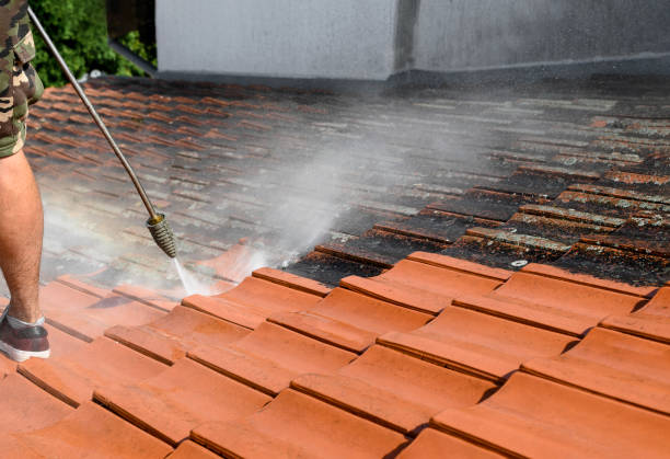 Best Pressure Washing Near Me  in Mayfield, KY