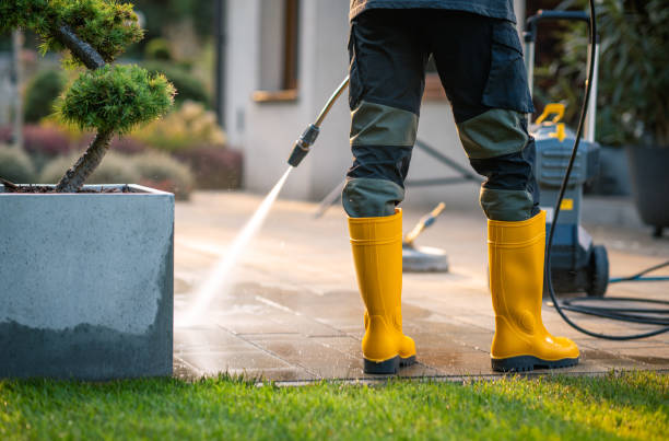 Best Deck Cleaning Services  in Mayfield, KY